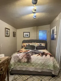Horse Property Team Roping Capital of the World - Image 4