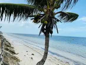 Simply Paradise. 8BR/10BA w/ large pool + volleyball. Perfect for large groups!  - Image 2