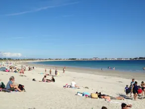 Blå longere ved havet - Image 4