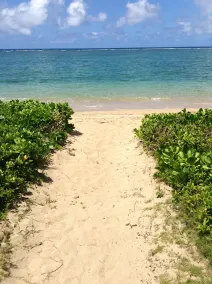 Zurück in die Zeit des Echt Hawaii und das ultimative Getaway. - Image 3
