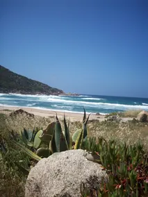 pretty seaside villa for 8 people for lovers of the sea and the maqui - Image 4