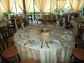 fazenda de eucalipto - Image 2