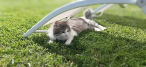 Elegant stenhus på landet med swimmingpool - Image 2