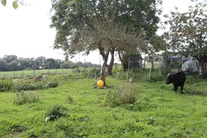 Landurlaub- das Perfekte Feriendomizil Wartet Hier auf Sie! - Image 5