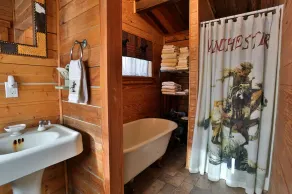 Lee Cabin at Country Accent Antiques, Pipe Creek, TX. - Image 2