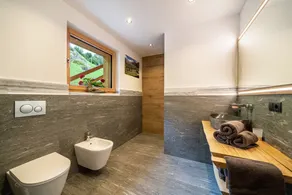 Apartment „Bergsteiger – Patleidhof“ mit Bergblick und privater Sauna am Balkon - Image 2