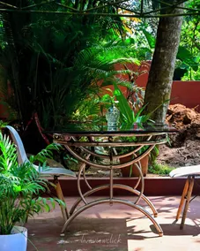 Home City Homestay & Ayurvedic Clinic - Image 2