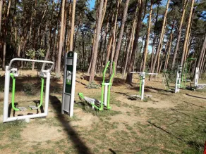 Spacious apartment, quiet location in the forest, garden, barbecue, bicycles, dogs allowed - Image 2