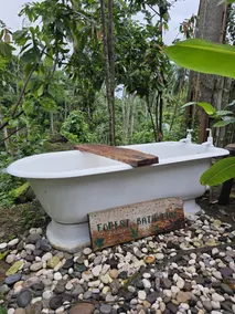 Ecoscape Jamaica - 2 Bedroom Cottage by the river - 30 Minutes to Ocho Rios - Image 2