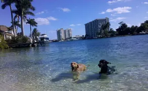Cozy 1BR Home in Lighthouse Point - Fenced Yard - Pets Welcome - Extended Stays - Image 3