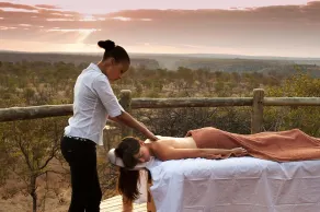 The Elephant Camp - Image 2