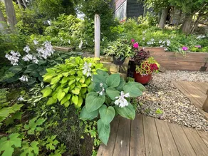 Moonpath Cottage at Kibbe Point–the ultimate romantic escape - Image 3