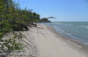 Spacious 2bed on a Private 1 acre Lot by Lake, Sleeps 8--Walk to Strip & Golf - Image 4