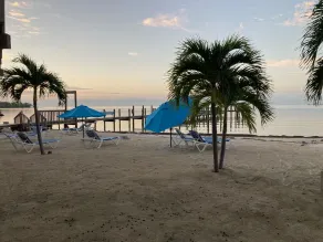 Tropical Paradise - Image 2