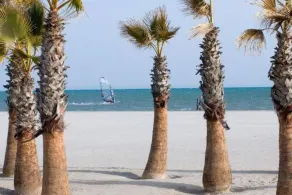 Swimming pool, tennis, parking wifi 100 mts from the beach. Centrally located. Suitable for pets. AACC - Image 5