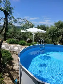 Il Pintello - La Lepre - Image 4