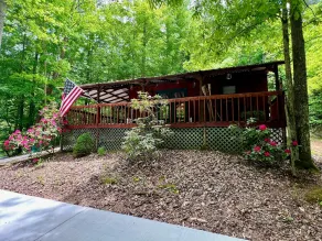 Cozy cabin getaway close to hiking, skiing, sightseeing, and Bristol! - Image 4