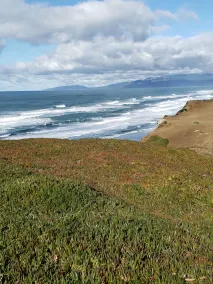 San Francisco Suburb French farmhouse - great location - Image 5