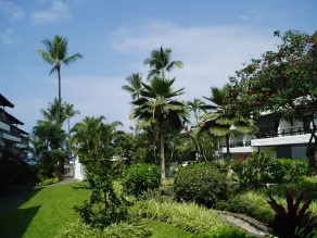 Garden Floor Unit i Ocean Front Condo Complex Casa De Emdeko - Image 5