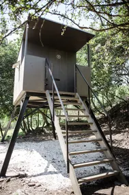 Glamping is unforgettable experience for nature lovers. - Image 3