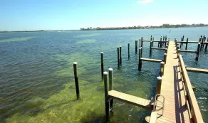 Anna Maria Island - 2/1 - Image 2
