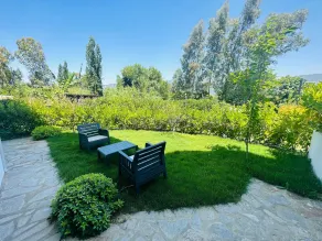 Yengeç Adults Only - Image 3