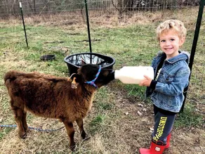 Lakefront Airstream - Farm Animals - Fish, Swim, Boat, Hike/Bike 5+Miles Trails - Image 3