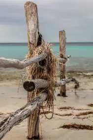 Il Kona - isolamento costiero sull'isola di canguro - Image 4