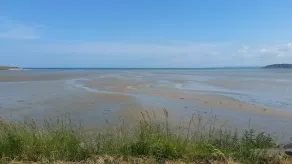 Saint Brieuc region. Seasonal rental house for 8 people. - Image 4