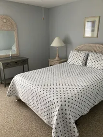 Lake Erie Beachfront Luxury Home mit 3 Schlafzimmern & Pool & Internetzugang - Image 3