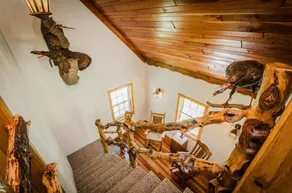 Pura Vida - Spacious Woodland Retreat - Image 2