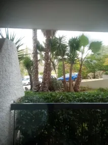 Apartment in beautiful residence with swimming pool. Pets allowed. - Image 4