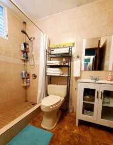 Private Pool*Full Solar*Secluded Rainforest Setting*1 Mile from PR3*20 From SJU - Image 4