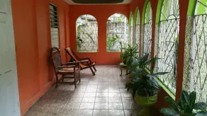 A beautiful house filled with greenery - Image 4