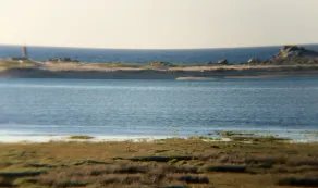 Fødder i Bay Kernic - Image 4