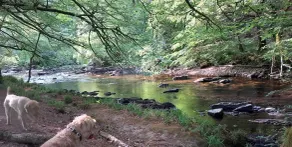 Sheepfold Cottage Dulverton - Image 2