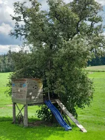 Farmhouse vacation rental in the beautiful Allgäu region, featuring a lawn for sunbathing and a barbecue area - Image 2