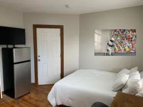 1 mile from Strong URMC, Downtown Rochester Micro Studio Tiny House Apartment - Image 4