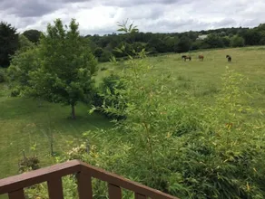 Apartment in the countryside between Quimper and Beaches - Image 4
