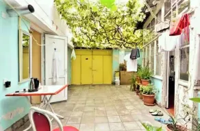 Green House Ganja - Image 3