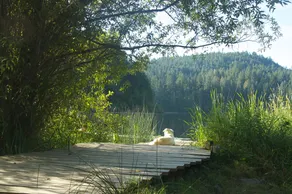  Lake House Saltspring Island   - Image 5