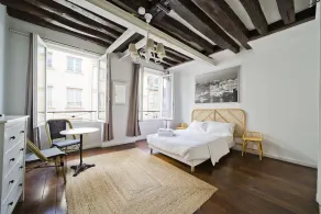So french apartment (cléry45) - Image 4