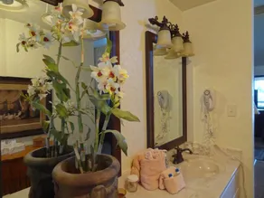 C22 - Luxury three bedroom, three bath cottage with hot overlooking Lake Ouachita - Image 3
