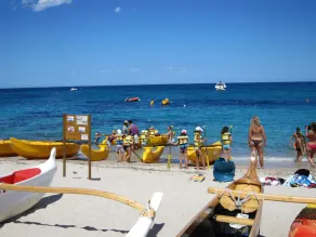 Cabine Estilo Chalé, Construído nas Árvores, Longe da Agitação, Entre o mar e as Montanhas - Image 2