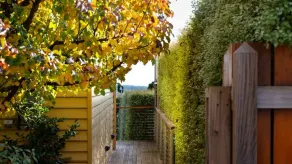 Daylesford House Studio- a cosy retreat - Image 5