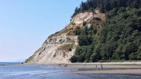 Private Whidbey Island Waterfront Beach Cabin - Image 5