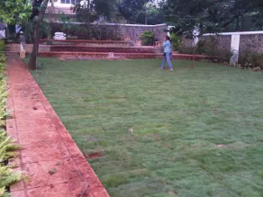 The Villa With Pool, Disco, Lawns - Image 4