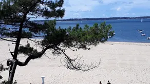 House in the winter town ARCACHON 6 pers 3 bedrooms with garden - Image 4