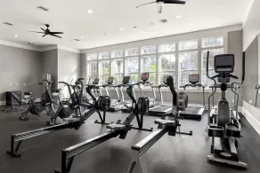 Landing Furnished Apartments near UNF - Image 4