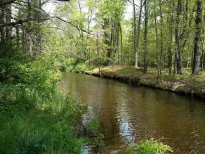 Serene Creek Frontage - Image 3